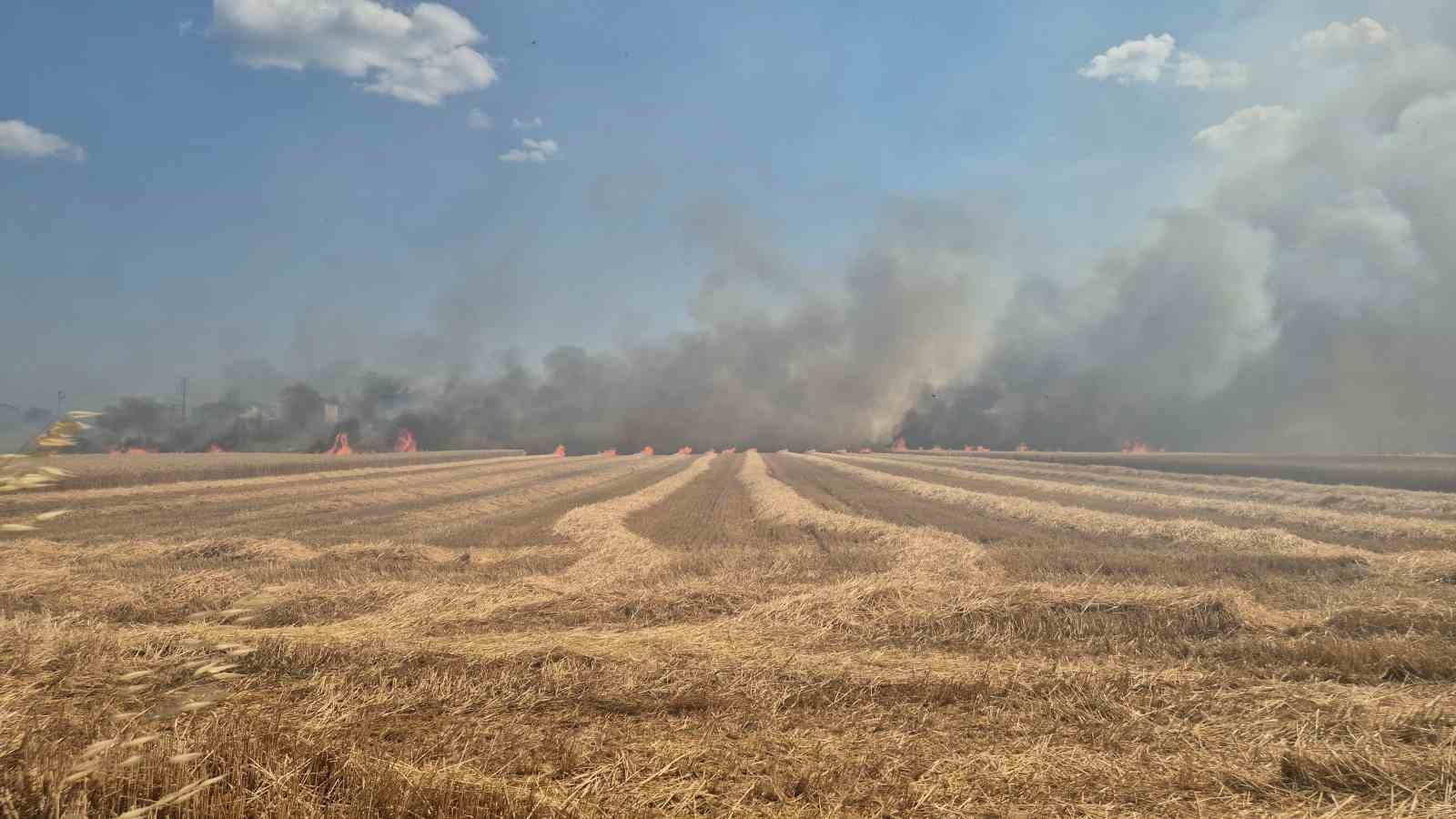 Tekirdağ’da 2 farklı noktada çıkan yangın söndürüldü: 700 dönümlük alan ve 20 konteyner kül oldu