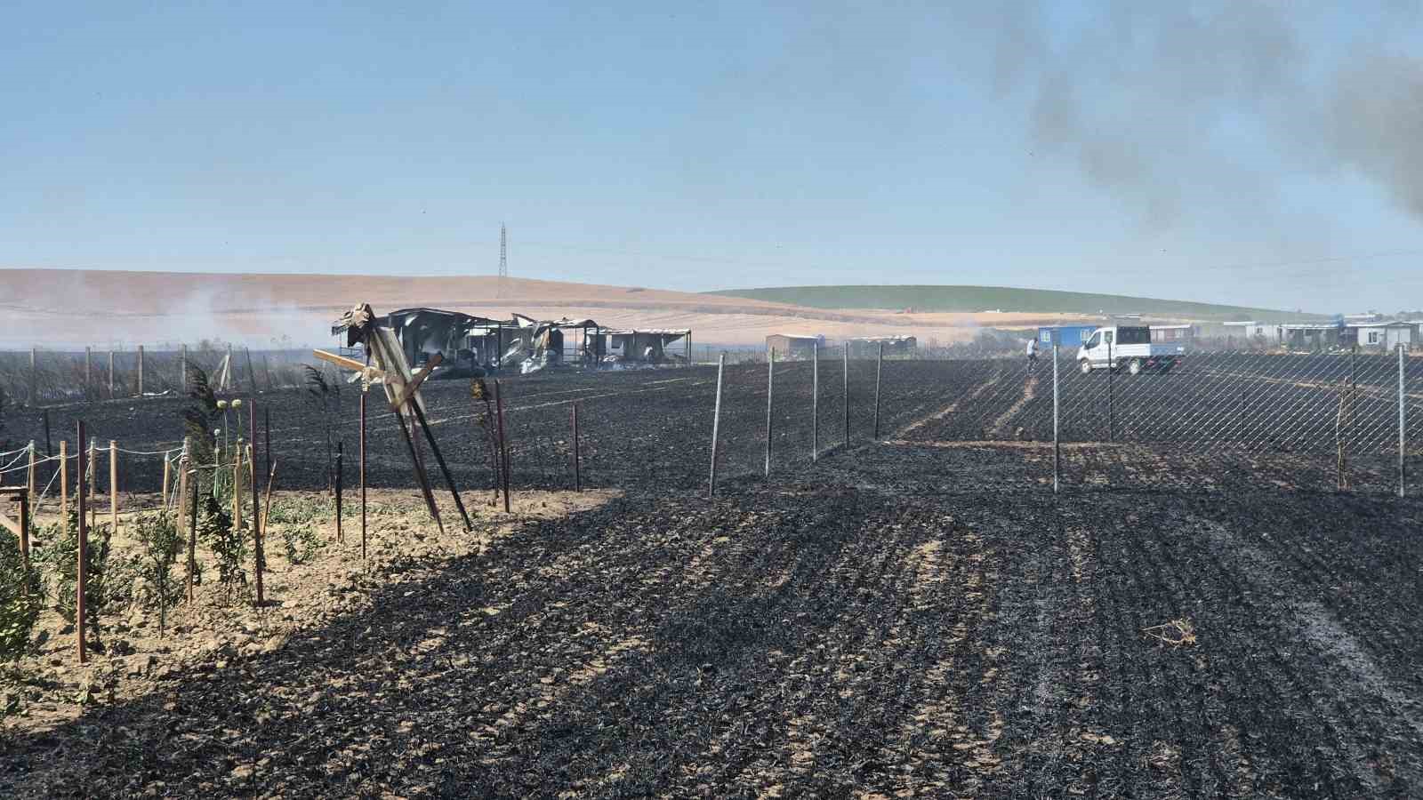 Tekirdağ’da 2 farklı noktada çıkan yangın söndürüldü: 700 dönümlük alan ve 20 konteyner kül oldu