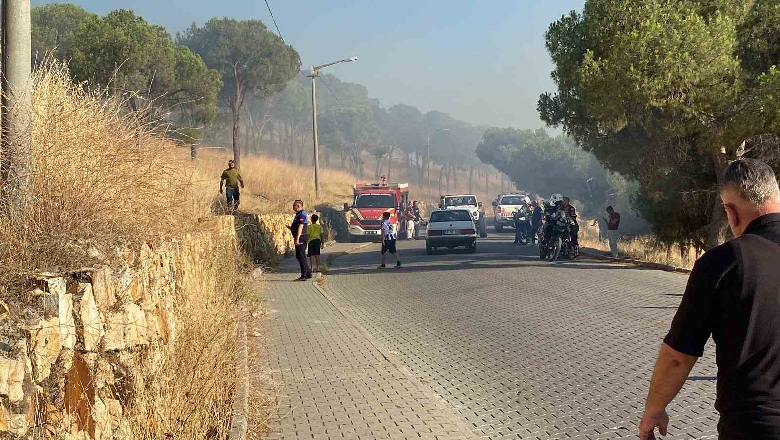 Balıkesir Ayvalık’ta çıkan örtü yangınına müdahale ediliyor