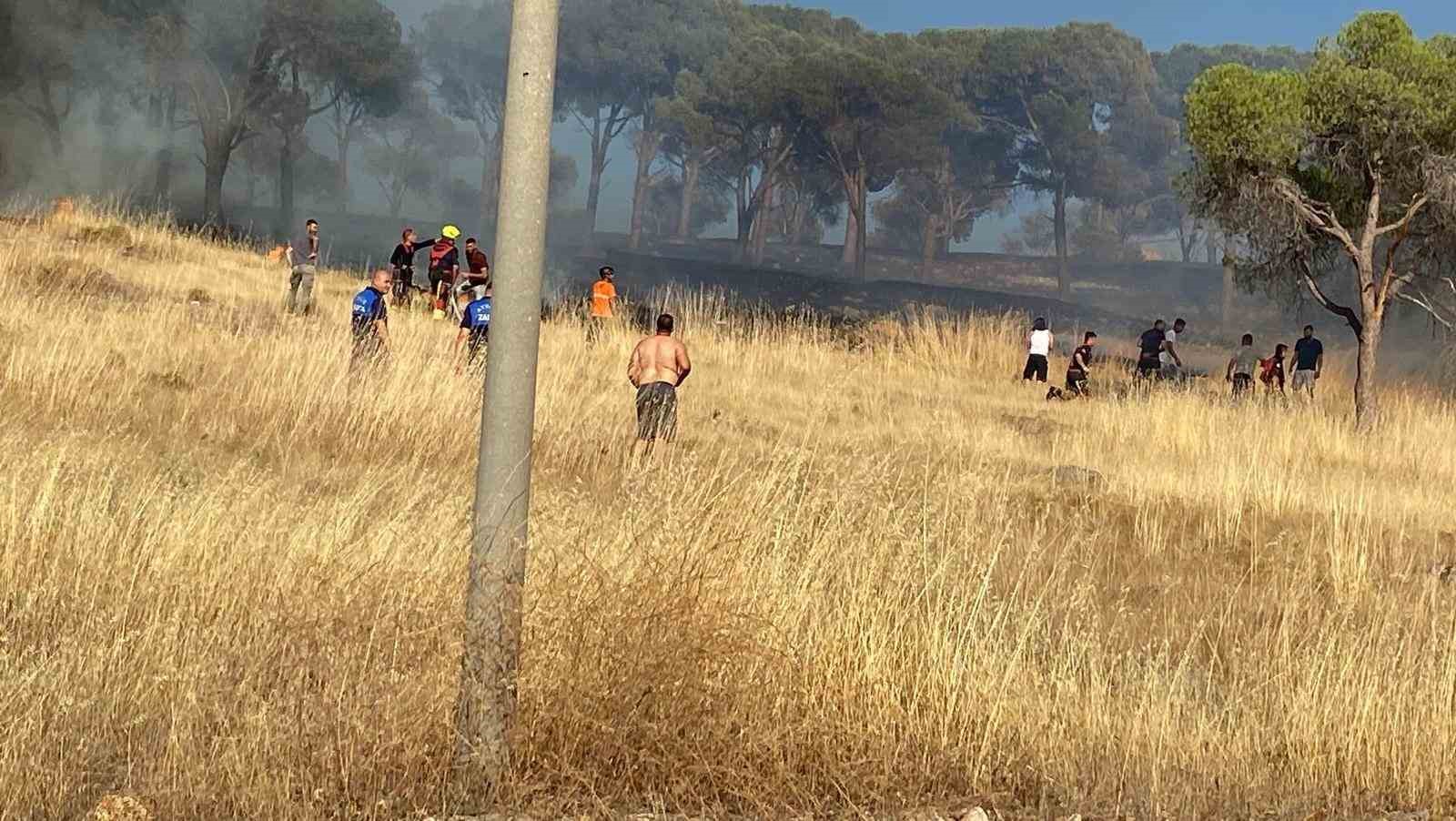 Balıkesir Ayvalık’ta çıkan örtü yangınına müdahale ediliyor
