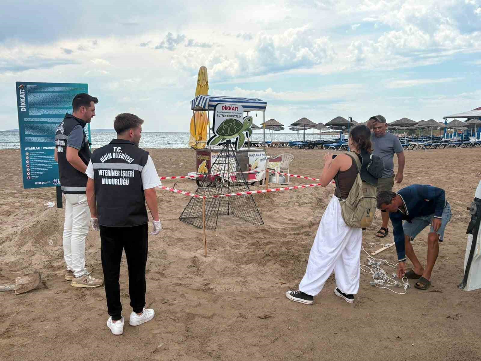 Didim Belediyesi ekiplerinin zamanında müdahalesi caretta carettayı kurtardı