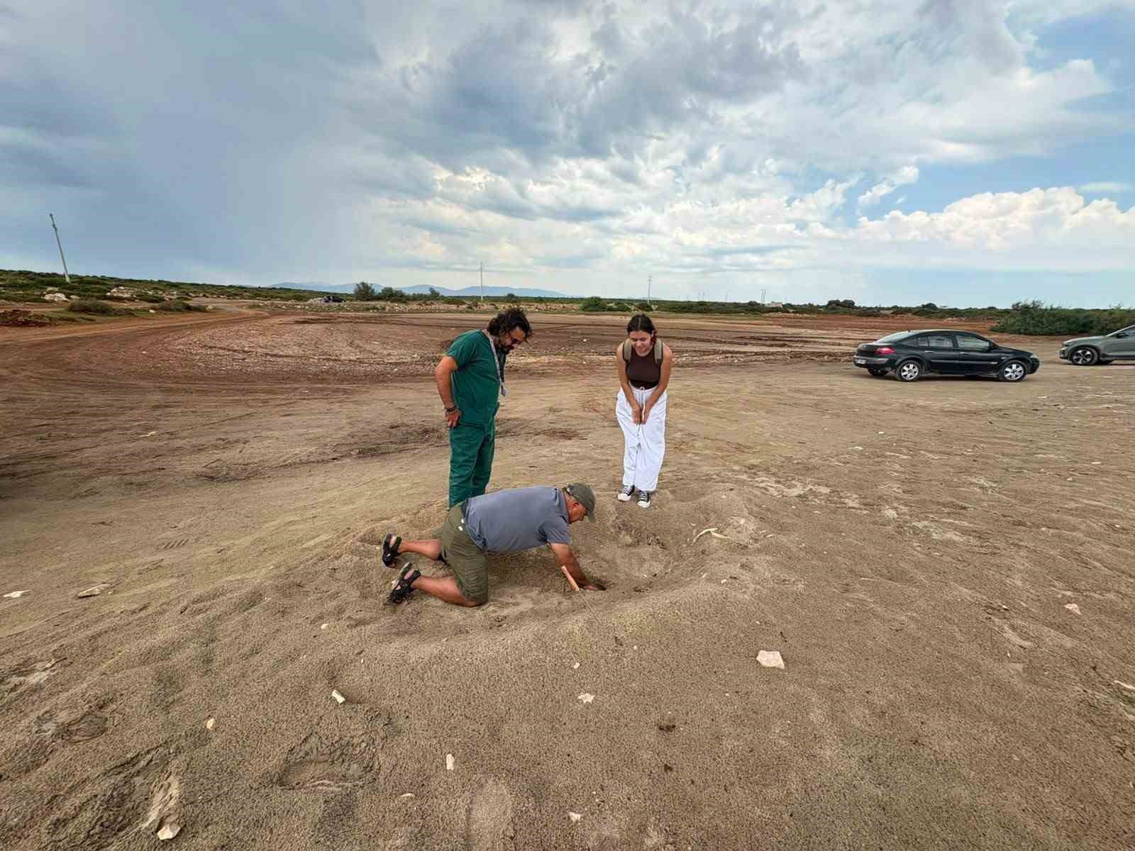 Didim Belediyesi ekiplerinin zamanında müdahalesi caretta carettayı kurtardı