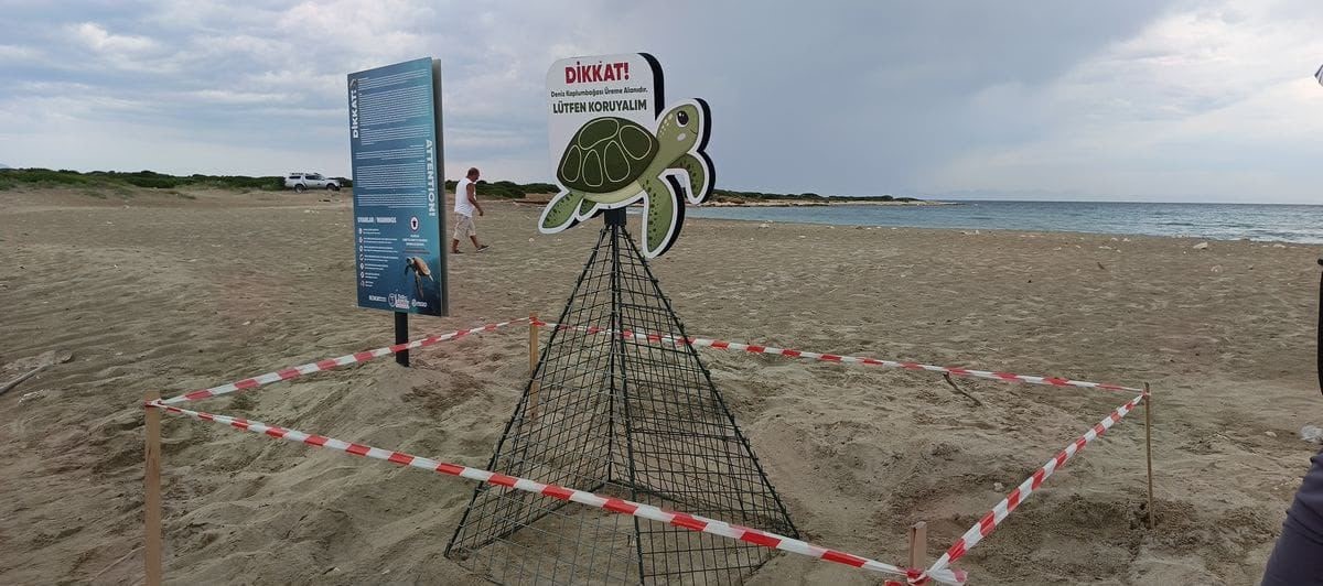 Didim Belediyesi ekiplerinin zamanında müdahalesi caretta carettayı kurtardı