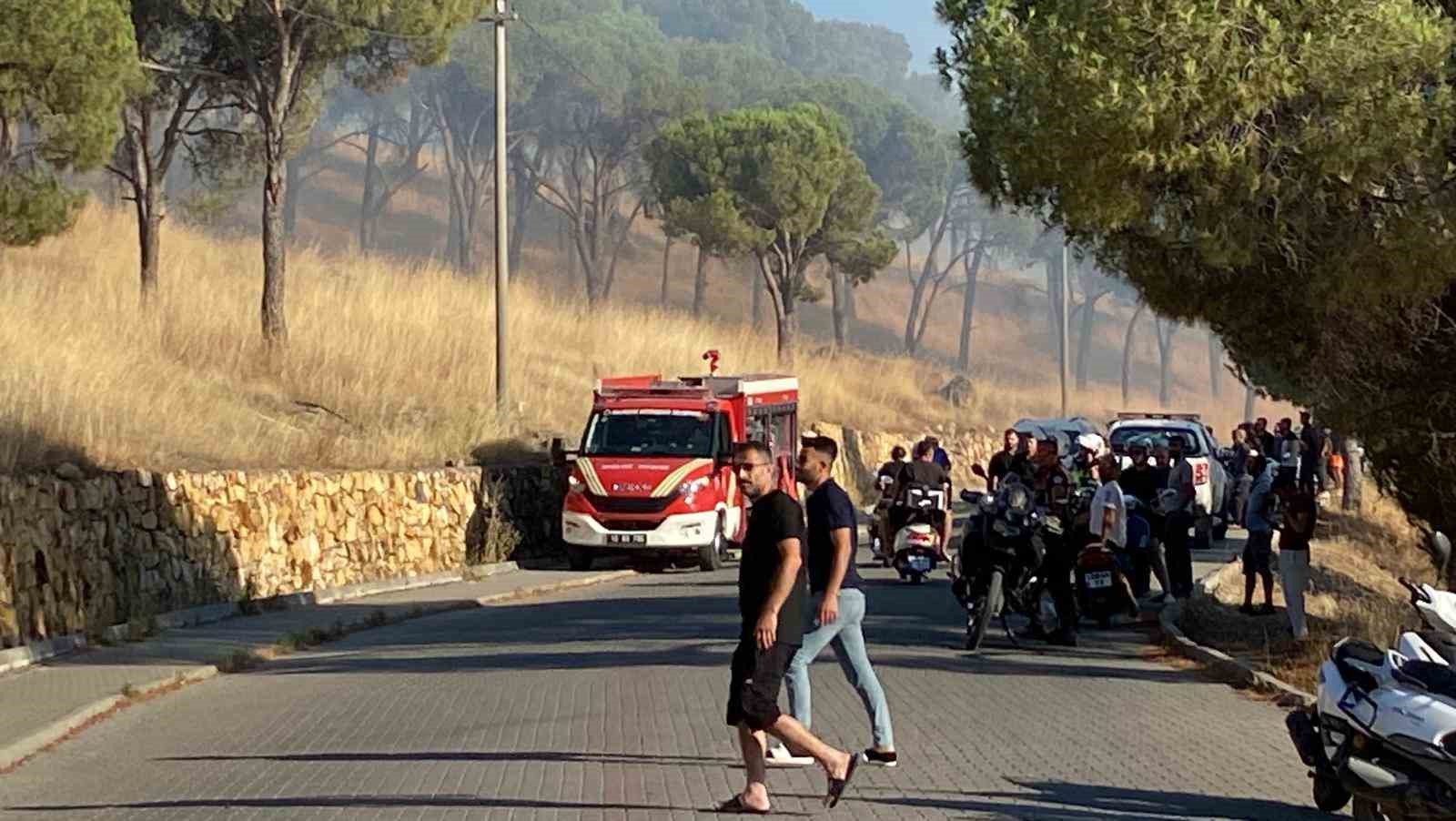 Balıkesir Ayvalık’ta çıkan örtü yangını kontrol altına alındı