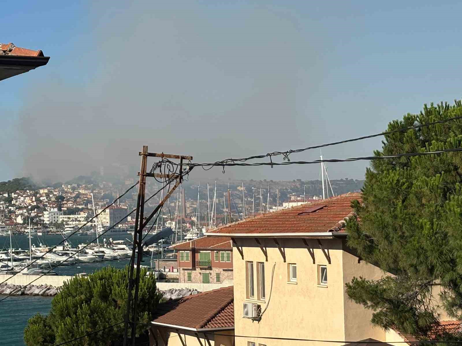 Balıkesir Ayvalık’ta çıkan örtü yangını kontrol altına alındı