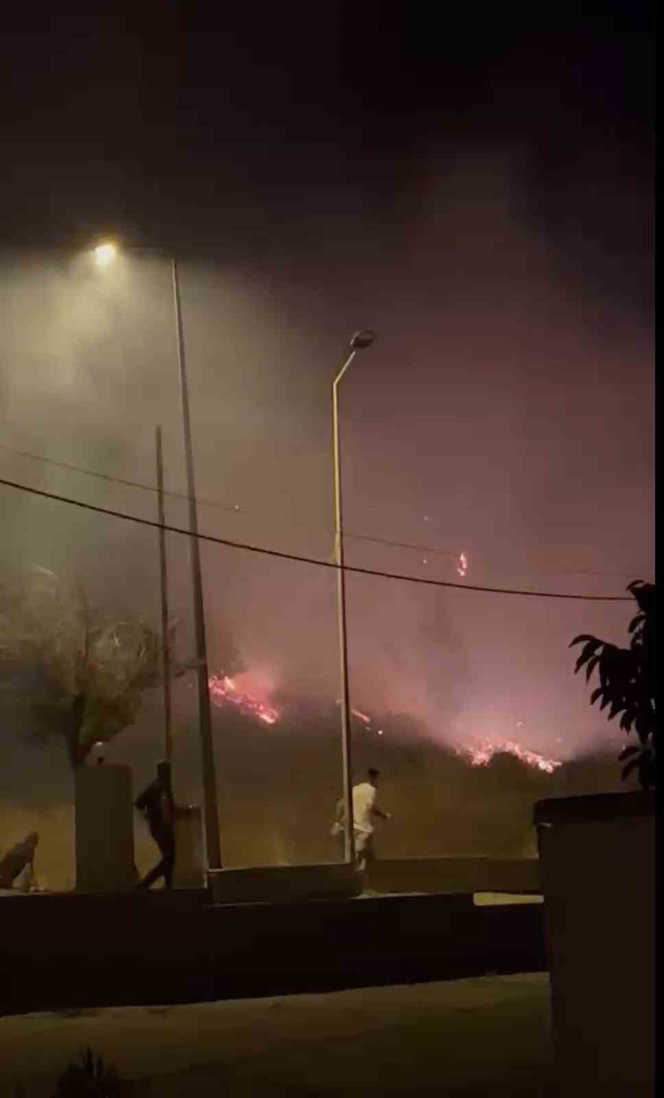 Cunda Adası’ndaki orman yangını kontrol altına alındı
