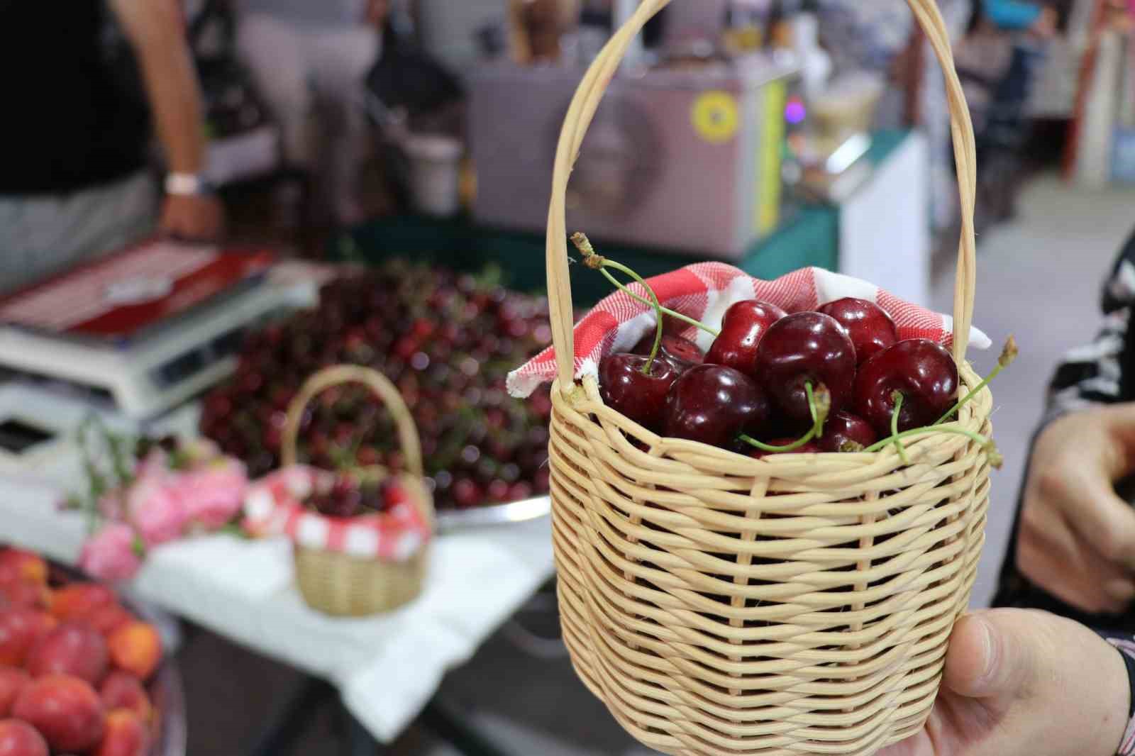 48. Honaz Kiraz Kültür ve Sanat Festivali başladı