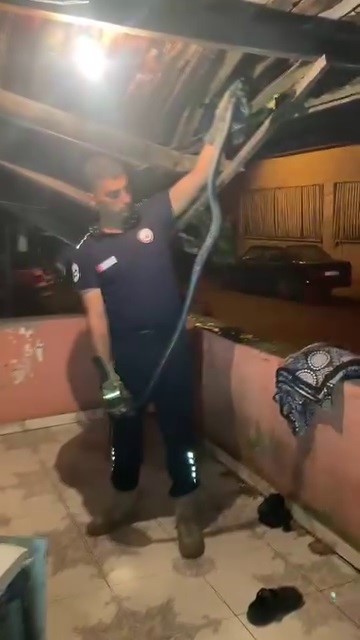Bulaşık makinesine giren 2 metrelik karayılanı itfaiye çıkardı