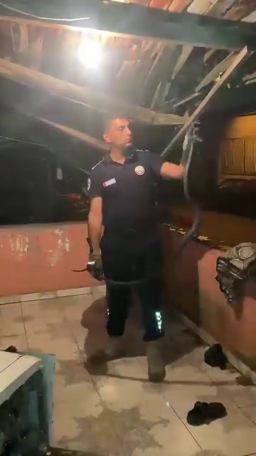 Bulaşık makinesine giren 2 metrelik karayılanı itfaiye çıkardı