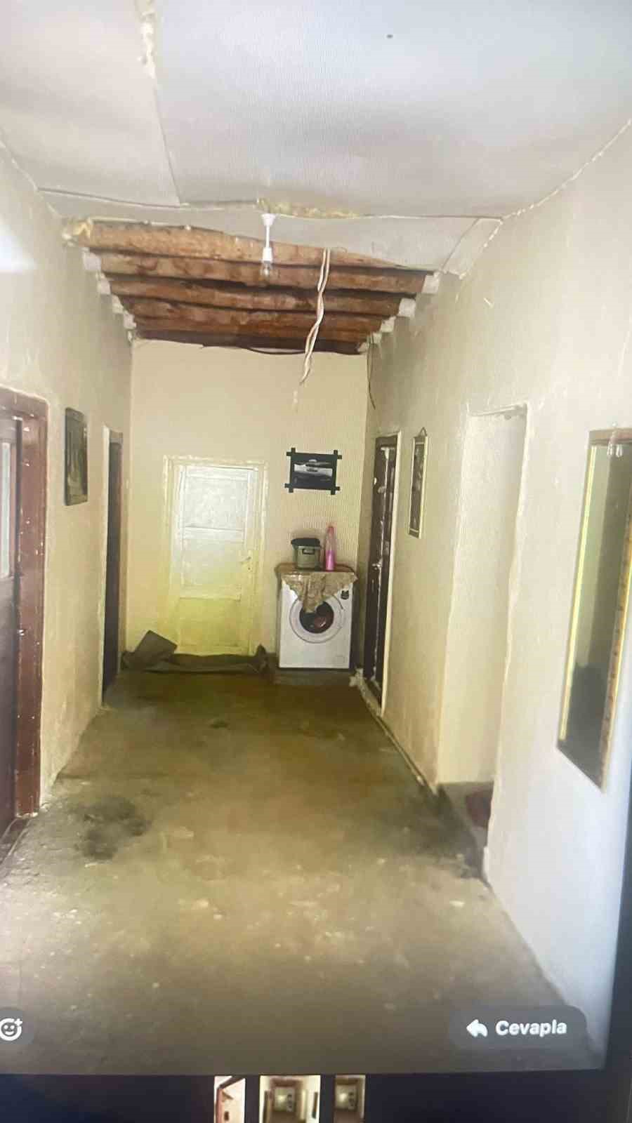 Hakkari’de yılan paniği