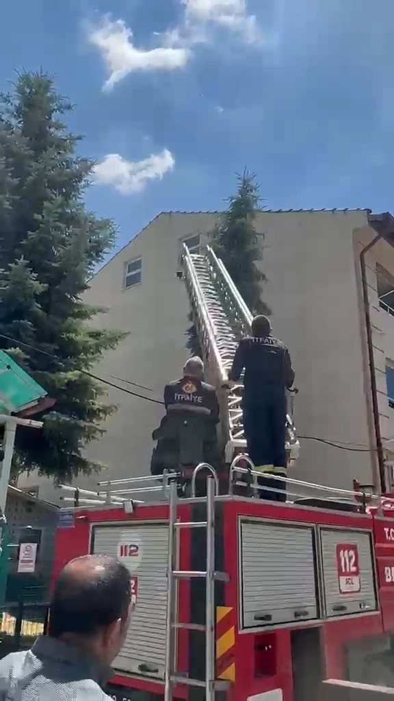 Kütahya’da ağaca takılan serçe itfaiye ekiplerince kurtarıldı