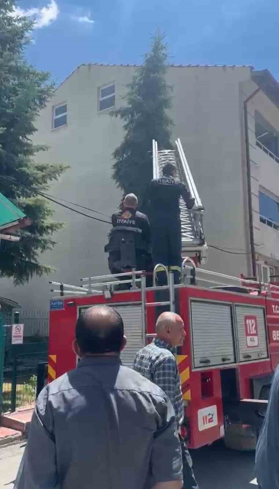 Kütahya’da ağaca takılan serçe itfaiye ekiplerince kurtarıldı