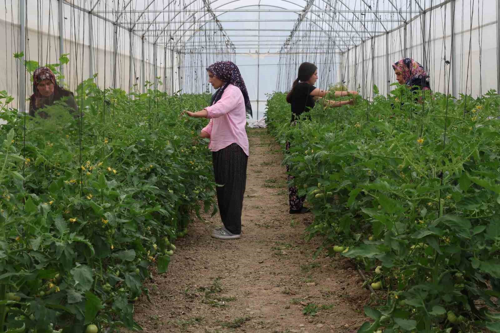 Kadınlar devlet desteğiyle üretti, köy turizm ve tarımda ilçede öncü oldu