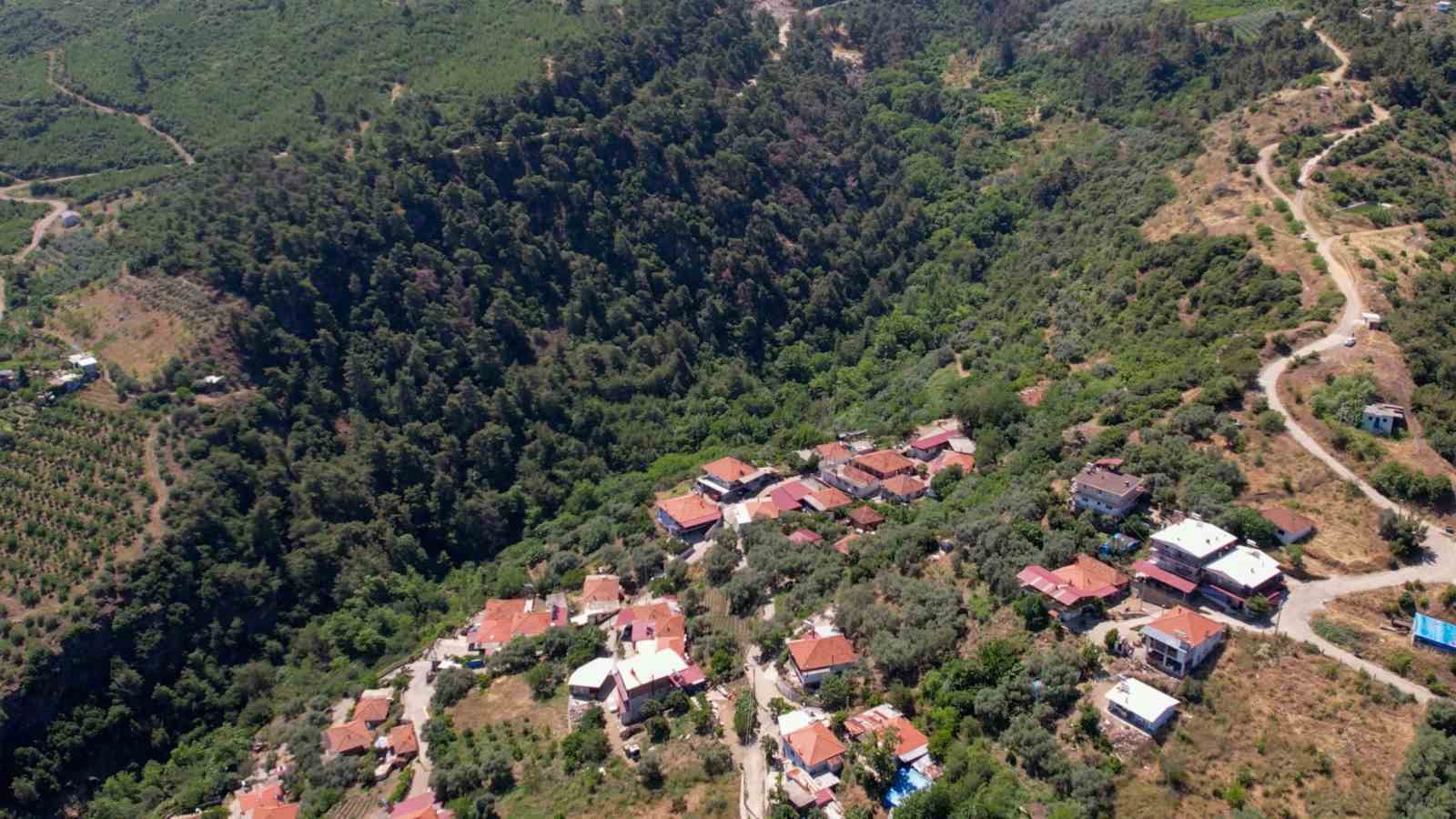 Yangına geçit yok: Muhtardan havadan devriye
