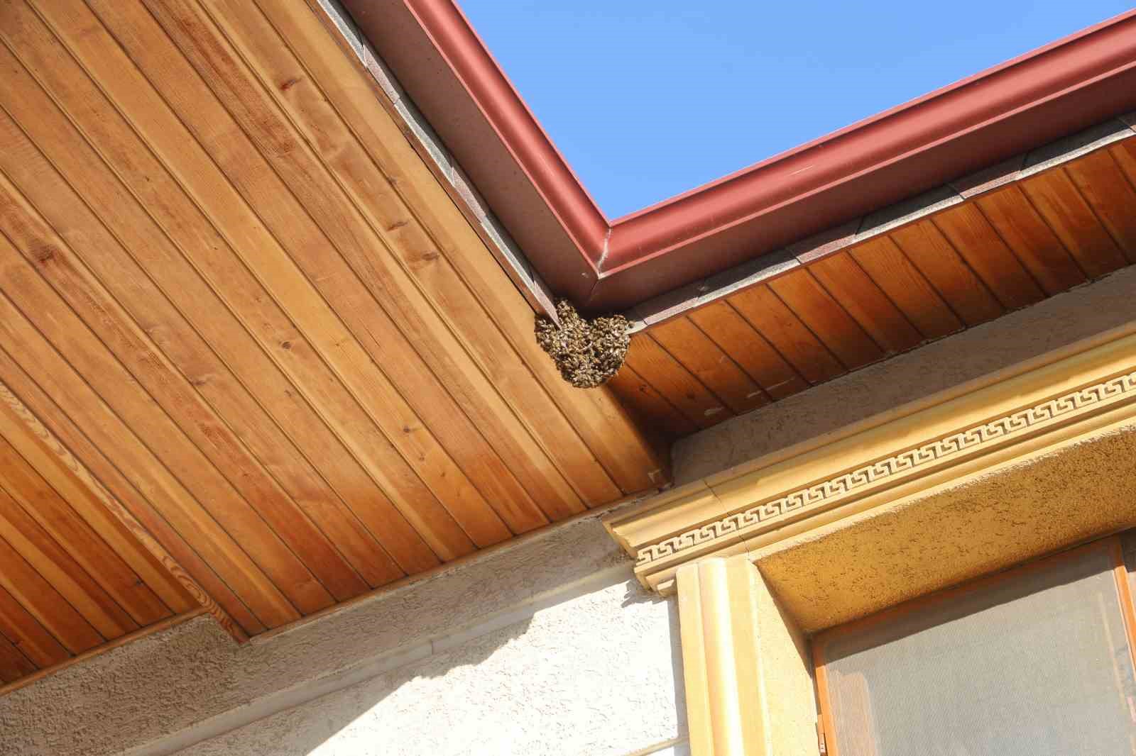 Sayıları her geçen gün artan binlerce arı, 1 santimlik delikten girdikleri çatıya oğul attılar