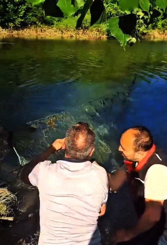 Sakarya’da nehir ve göletlerdeki kaçak ağlar tek tek toplanıyor