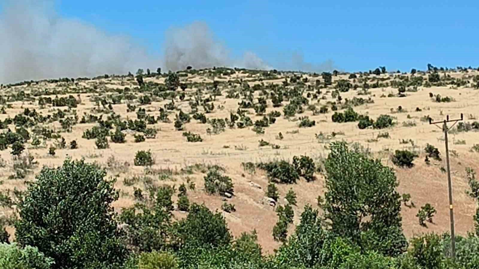 Dicle’de ağaçlık alanda yangın