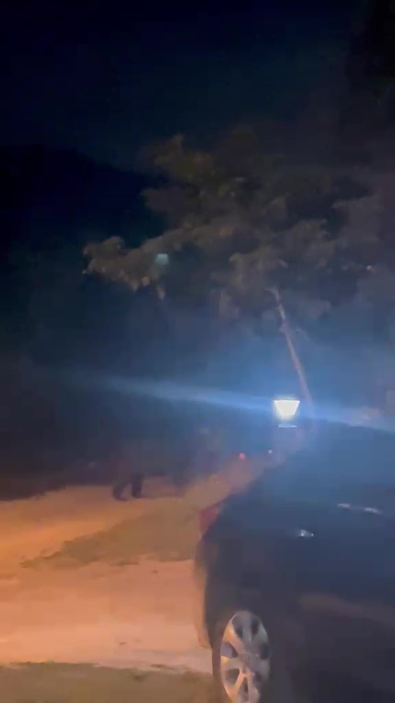Köye inen ayı köylülere heyecan ve korku yaşattı