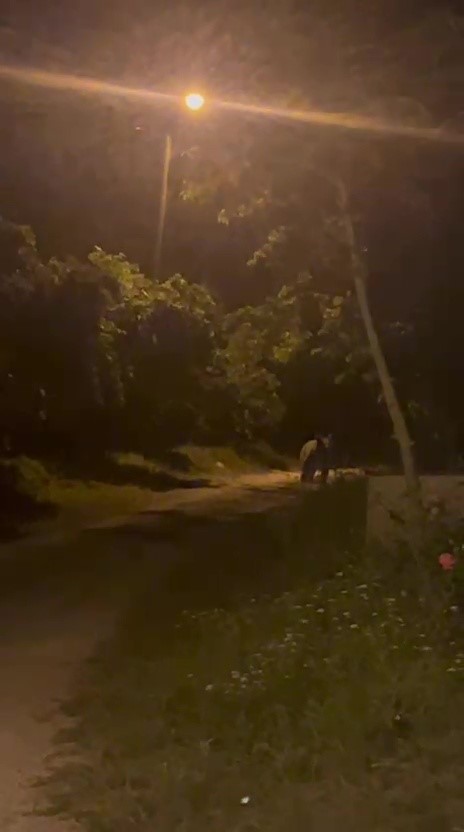 Köye inen ayı köylülere heyecan ve korku yaşattı