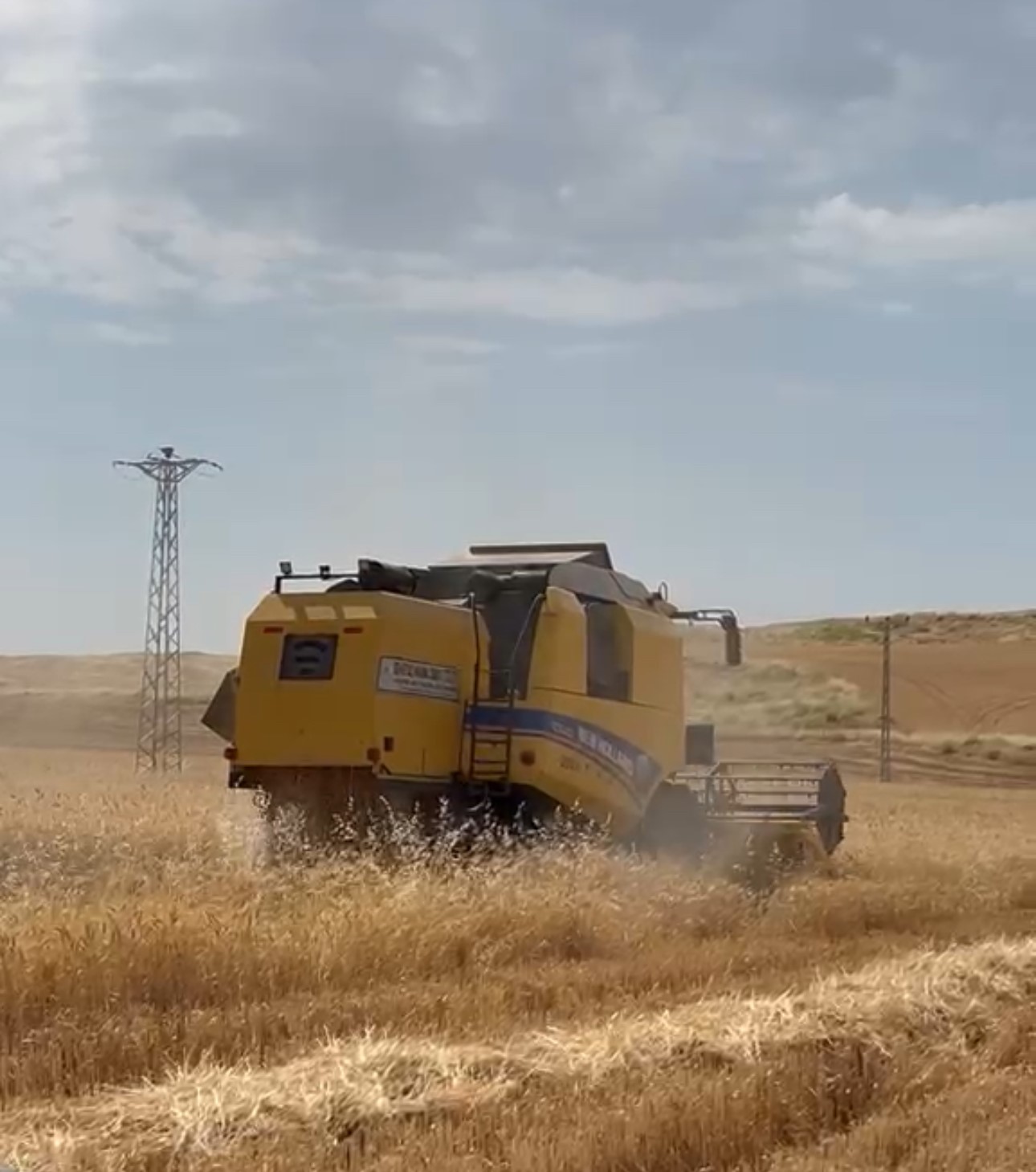Siirt’te buğday hasadı başladı: Yağışlar çiftçiye umut oldu