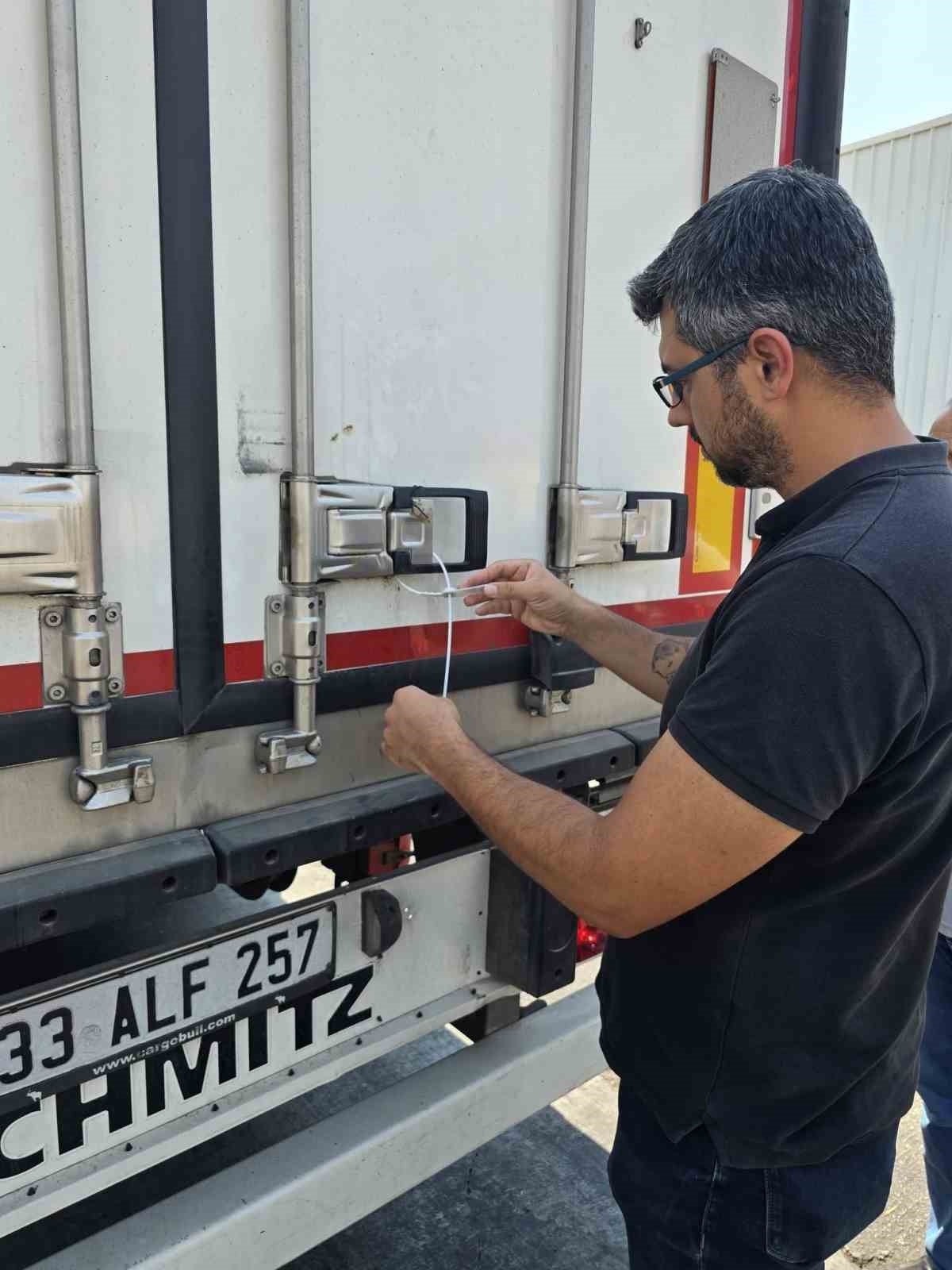 Didim’in balıkları, İngiltere yolcusu