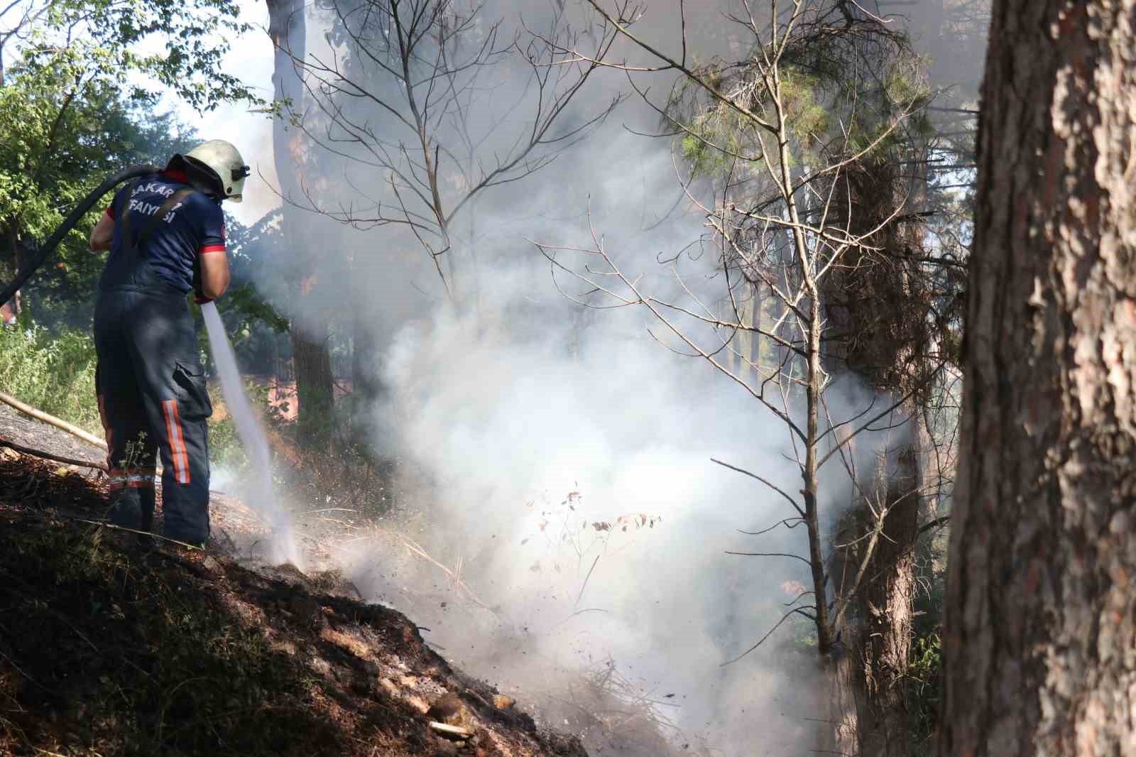 Sakarya’da ağaçlık alanda korkutan yangın