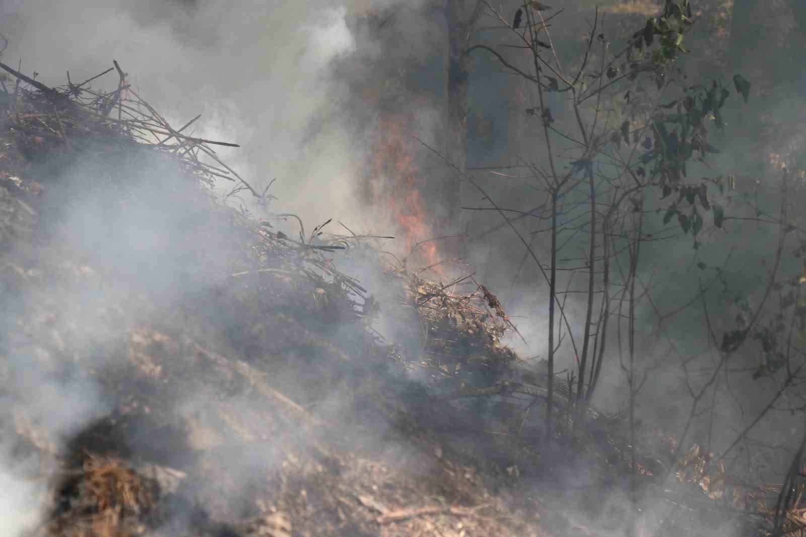 Sakarya’da ağaçlık alanda korkutan yangın