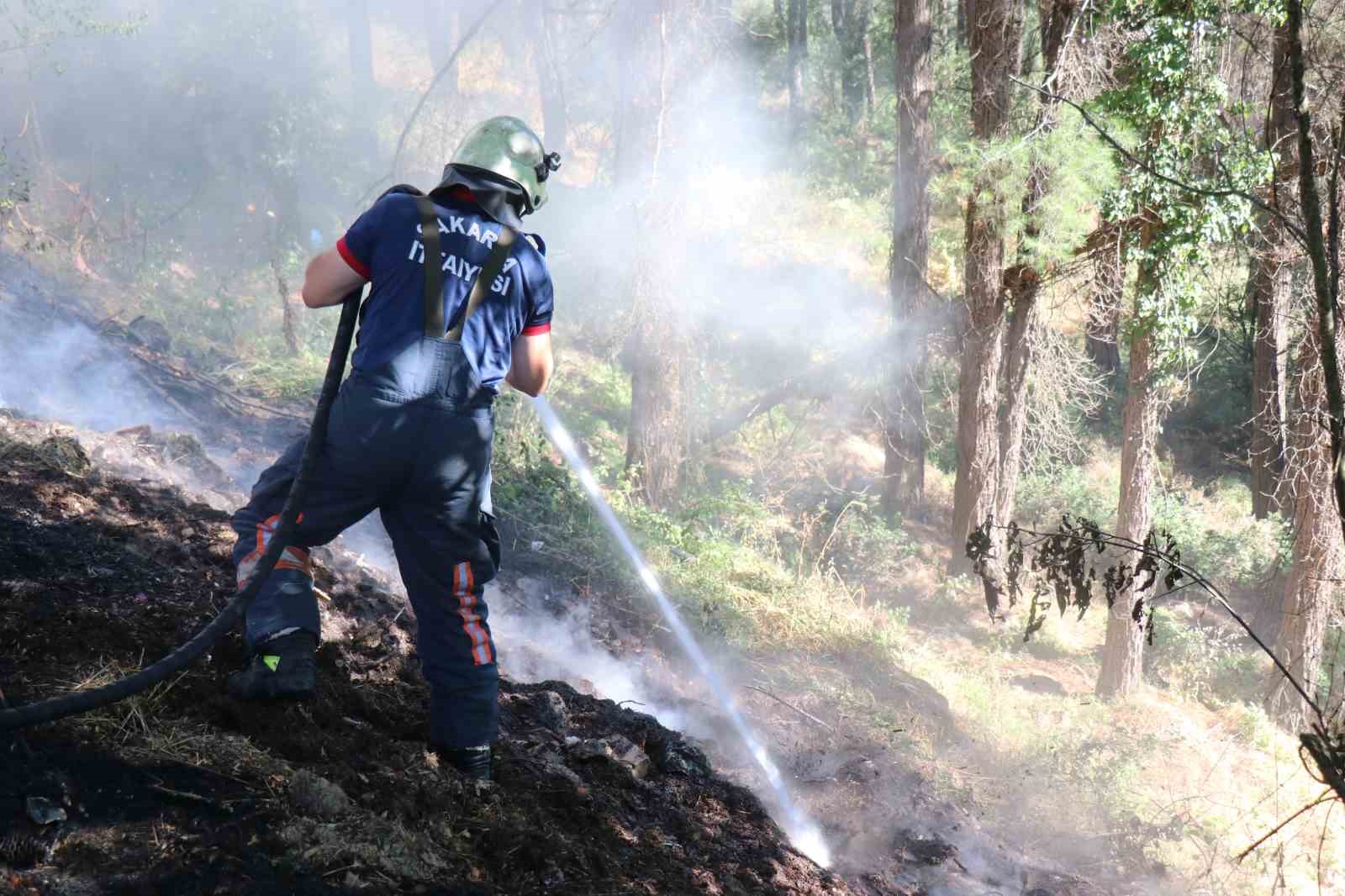 Sakarya’da ağaçlık alanda korkutan yangın