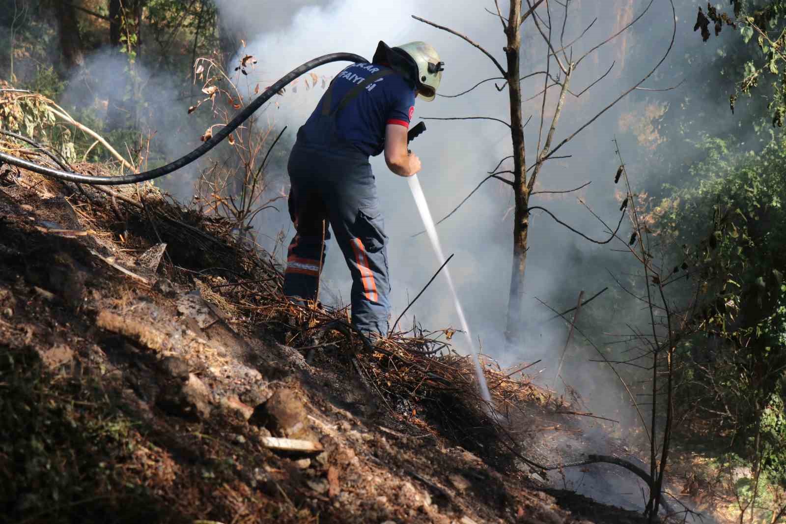 Sakarya’da ağaçlık alanda korkutan yangın