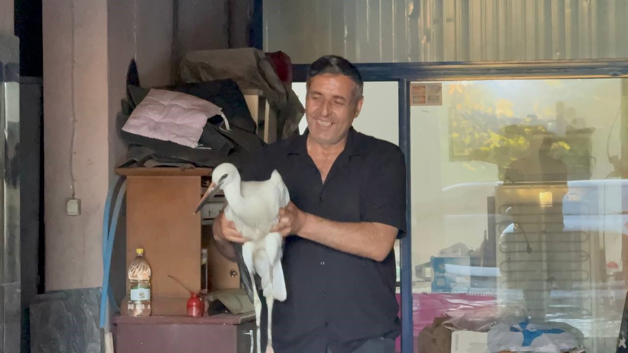 Karabük’te oto yıkamacıya sığınan leylek koruma altına alındı