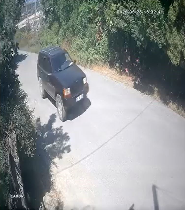 Piknik ateşi çayırlık alanı küle çevirdi