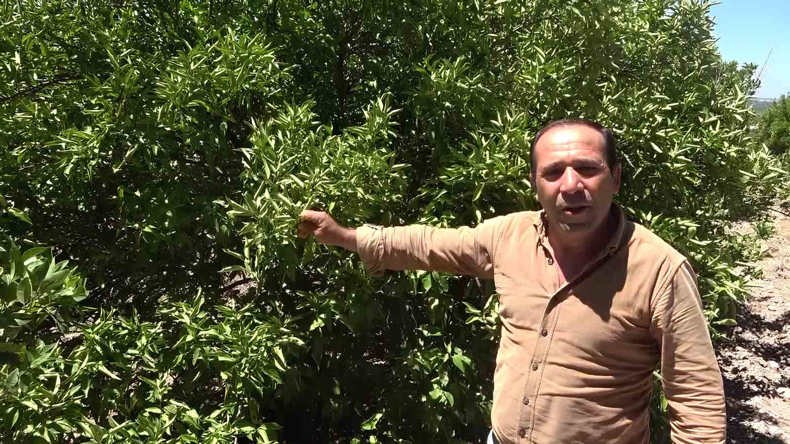 Adana’da 7 aydır tamir edilmeyen pompa üreticiyi isyan ettirdi