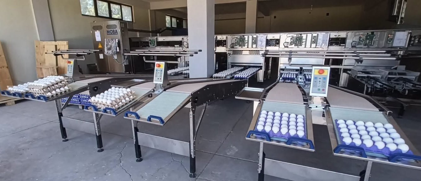 Tavşanlı’da yumurta paketlemede yeni dönem