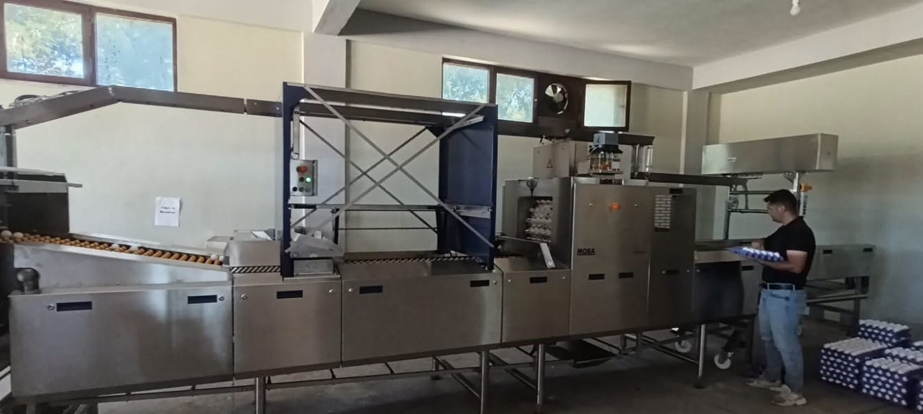 Tavşanlı’da yumurta paketlemede yeni dönem