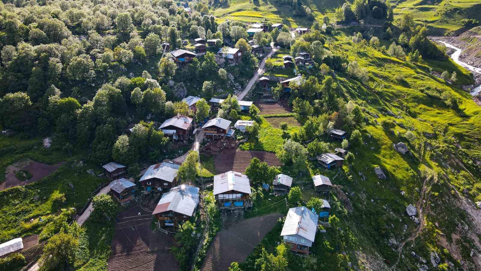 Tamamı ahşap evlerden oluşan köy doğasıyla mest ediyor