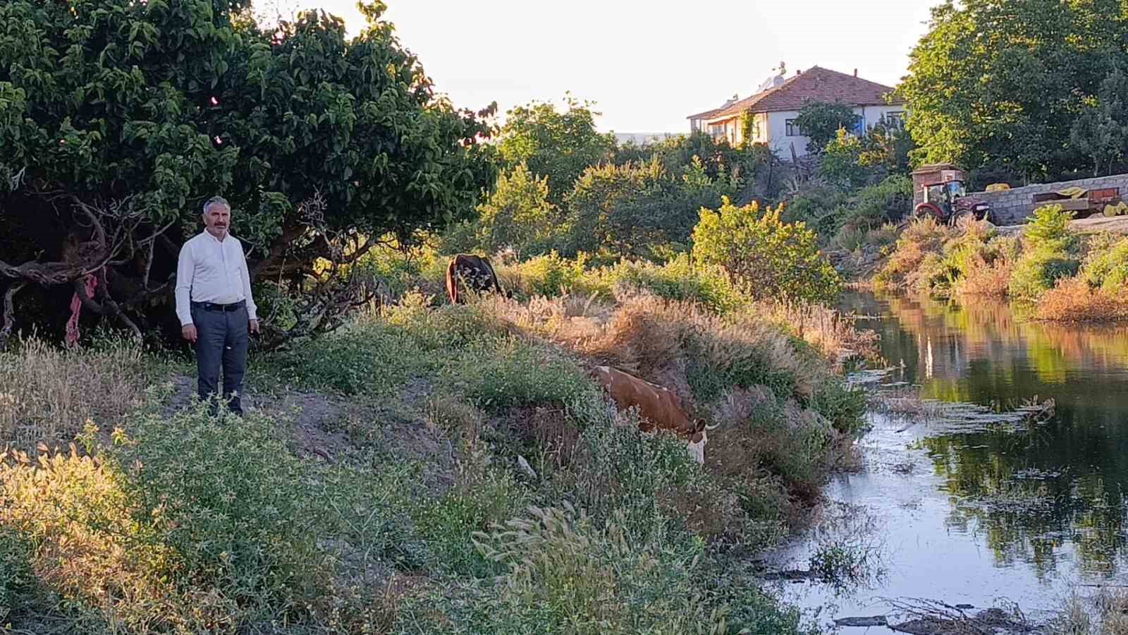 Çekerek Süreyya Bey Barajı’nda dolluk oranı yüzde 100’ün üzerine çıktığı için köyü yılanlar bastı