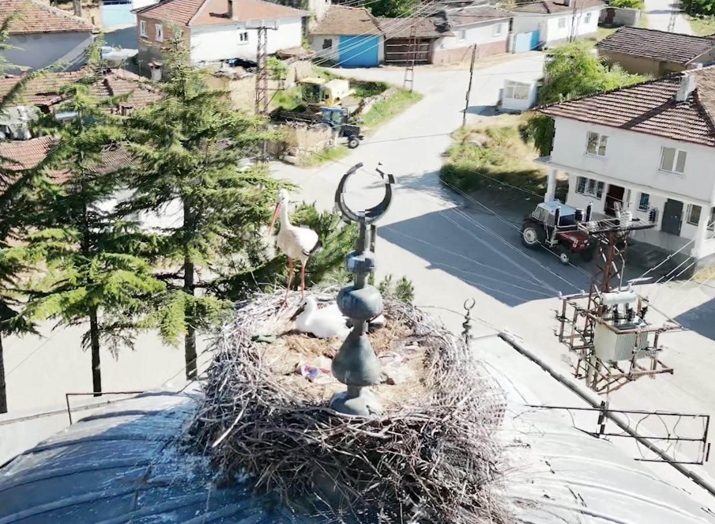 Ayağı yuvasındaki ipe takılan yavru leyleği itfaiye kurtardı