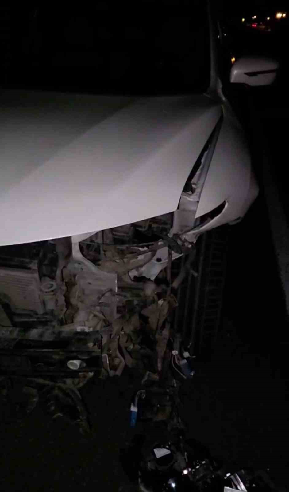 Elazığ’da otomobil domuz sürüsüne çarptı