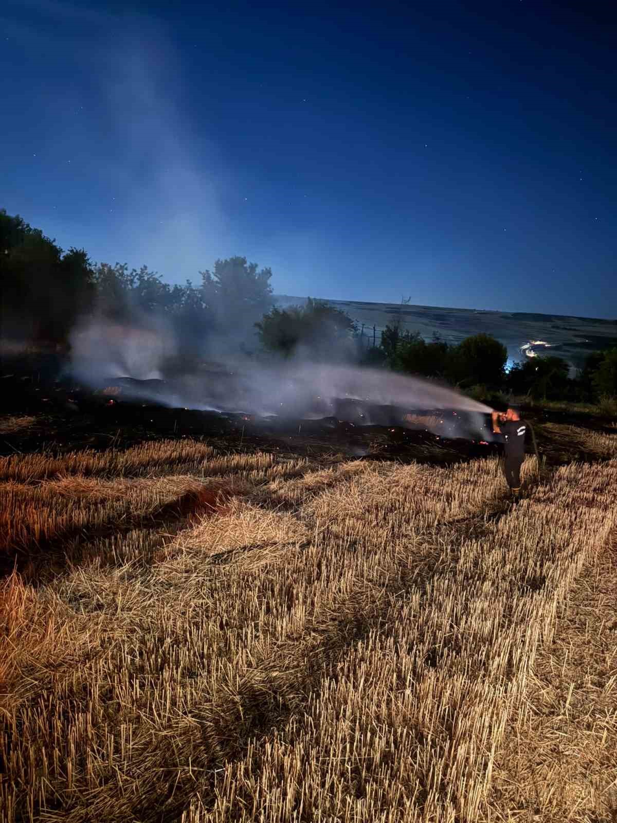 Adıyaman’da korkutan anız yangını