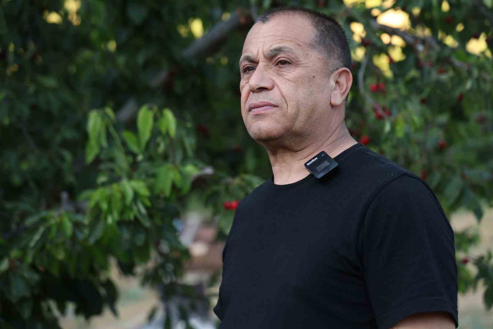 Saimbeyli’nin simgesi ’dalbastı kirazı’nda hasat bereketli başladı