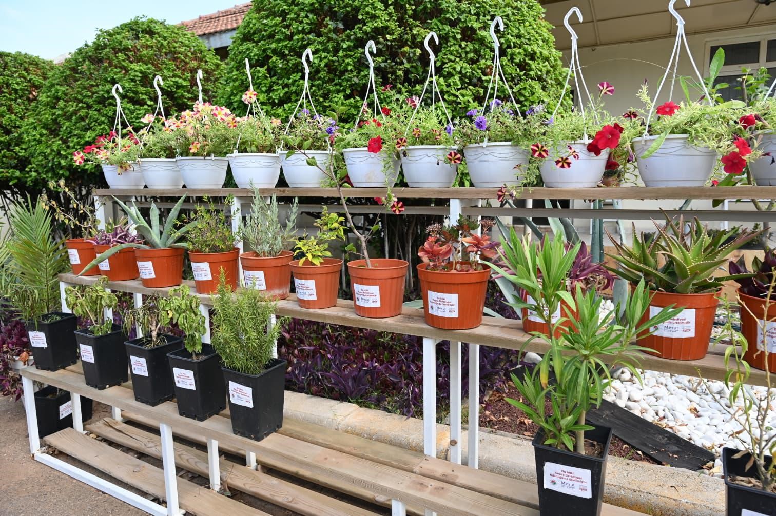 Kepez Bahçe Market Antalya’nın hizmetine açılıyor