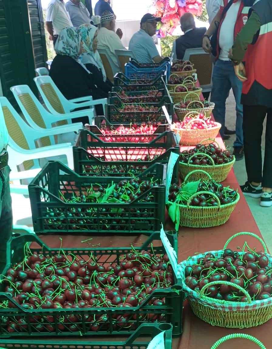 Hisarcık Kutlubeyler köyünde Kiraz Festivali coşkusu