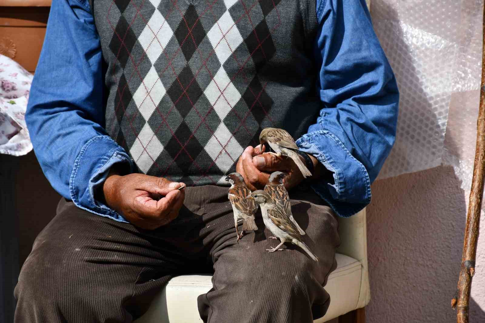 Kırdığı çekirdeklerle kuşlara sofra kuruyor