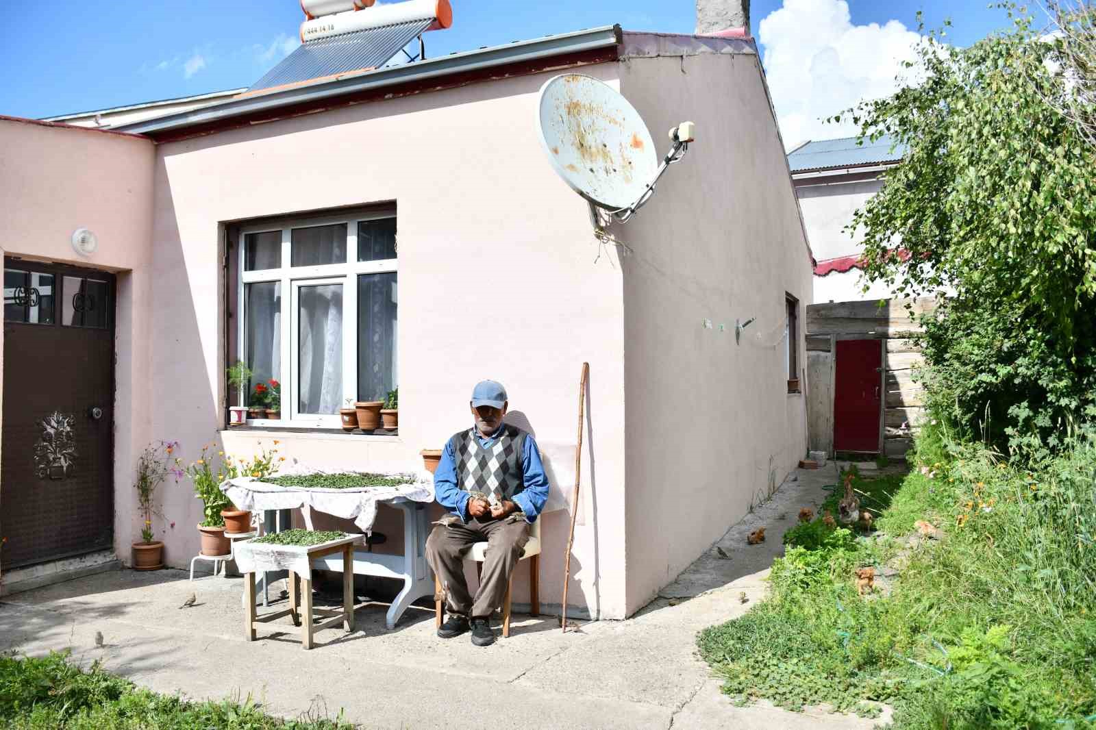 Kırdığı çekirdeklerle kuşlara sofra kuruyor