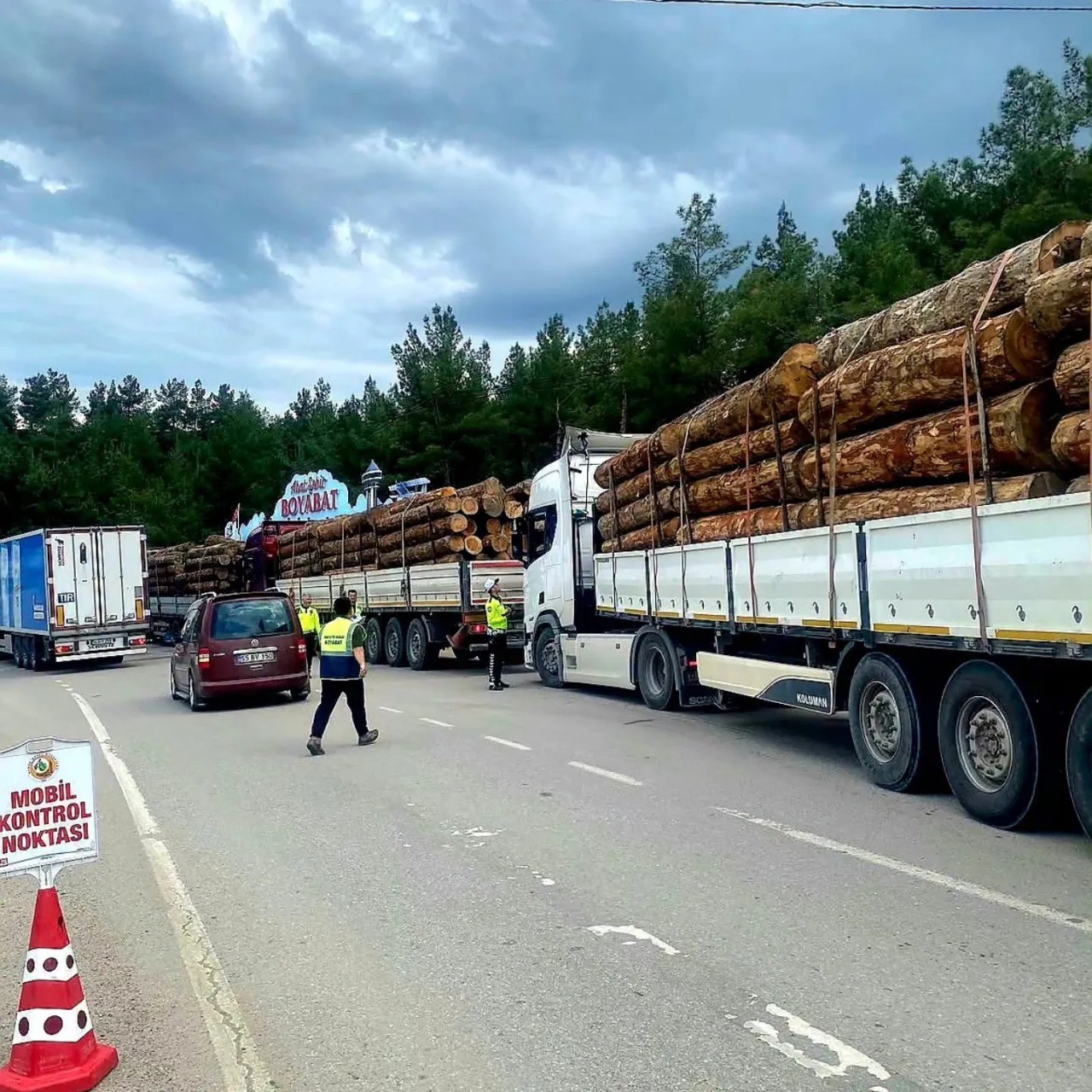 Sinop’ta orman emvali nakilleri denetimi