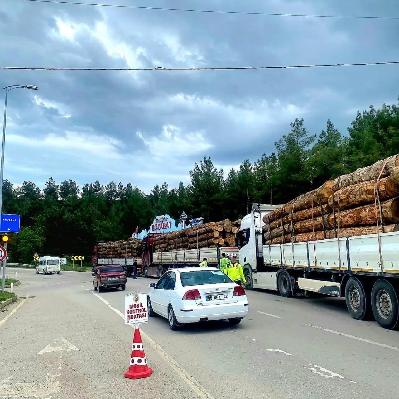 Sinop’ta orman emvali nakilleri denetimi