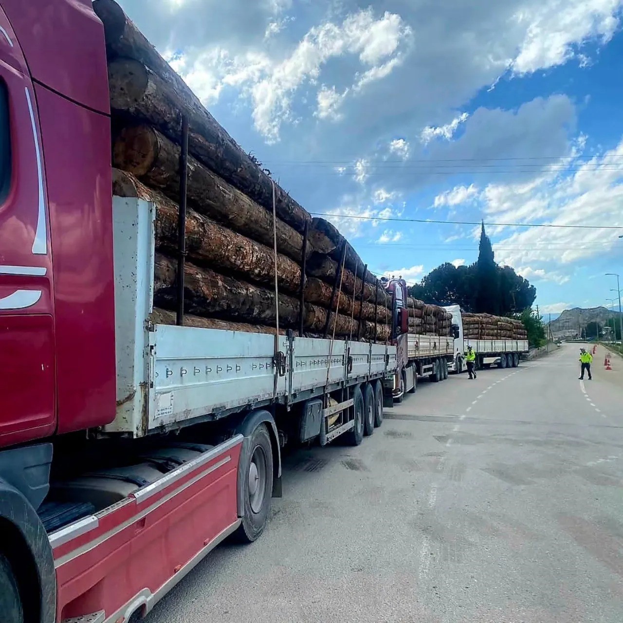 Sinop’ta orman emvali nakilleri denetimi