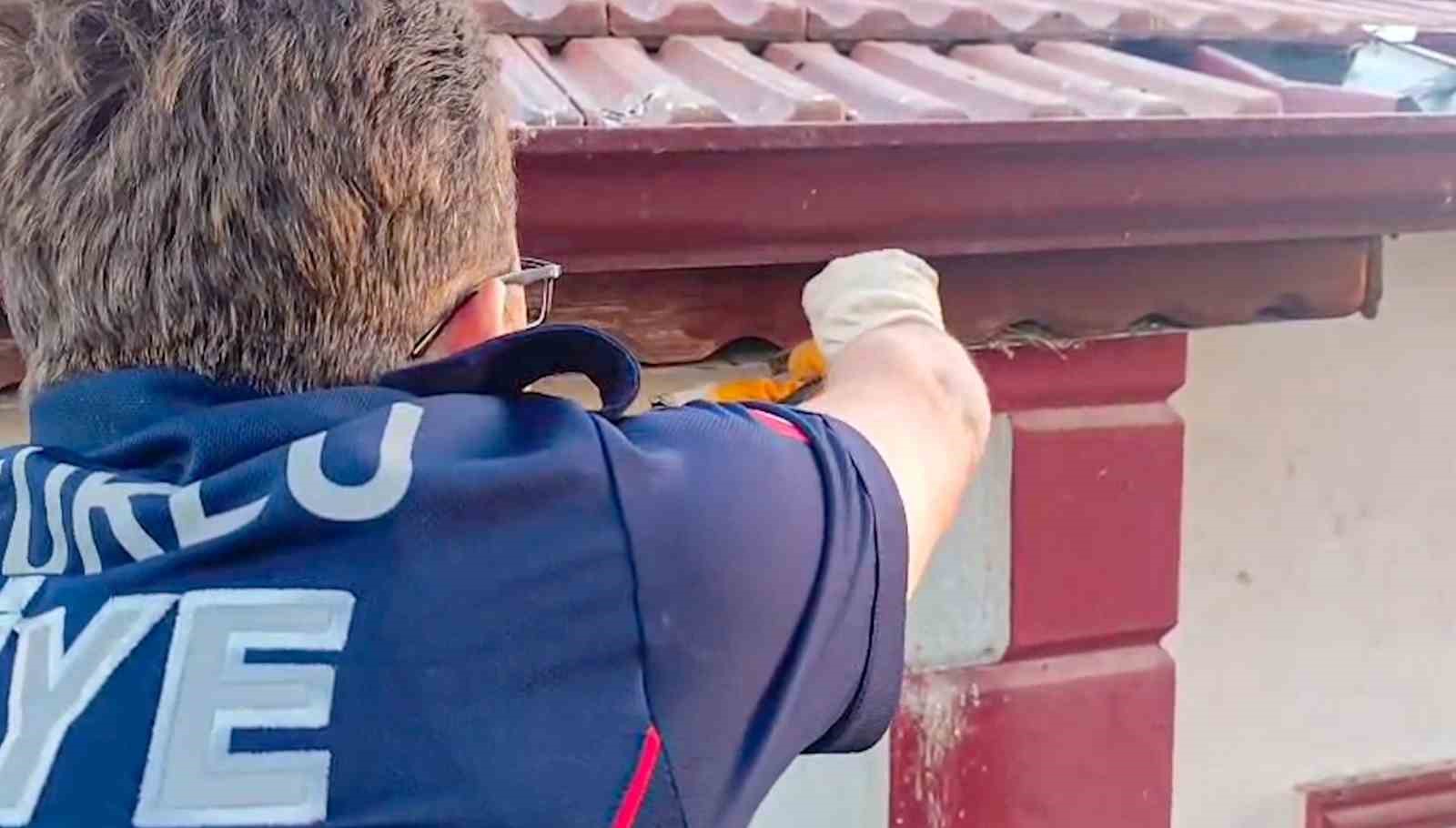 Çorum’da çatı kenarına sıkışan kuşu itfaiye kurtardı
