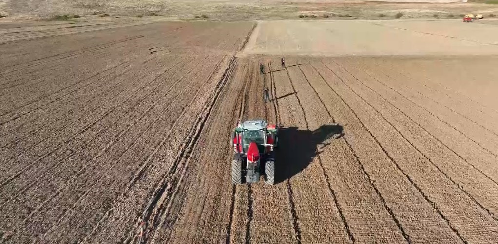 Kırşehir’de rakımı düşük bölgelerde hasat başladı