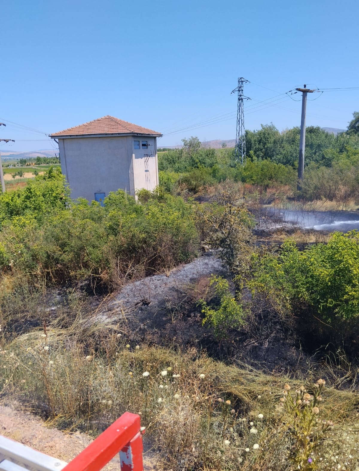 Balıkesir’de ot yangını korkuttu